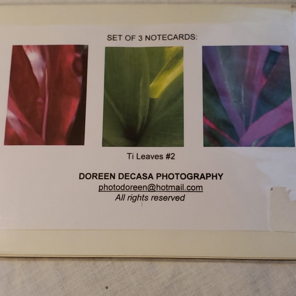 Set of 3 notecards